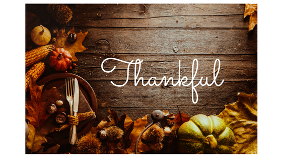 Read more about the article Our First Thanksgiving With Food Allergies