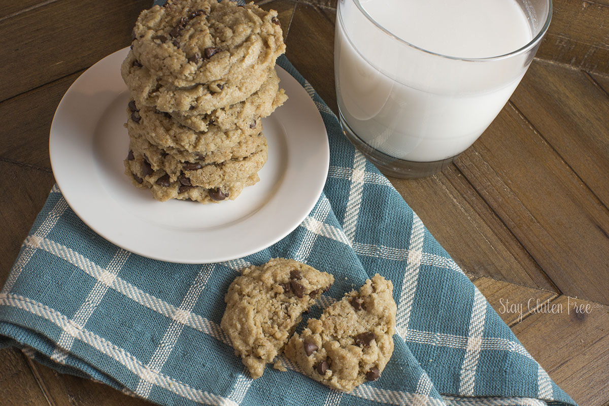 Read more about the article Gluten Free Chocolate Chip Cookies